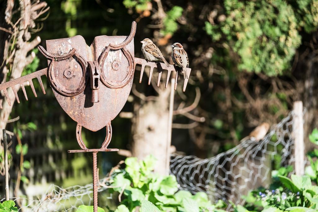 Merrijig Inn Port Fairy Ngoại thất bức ảnh